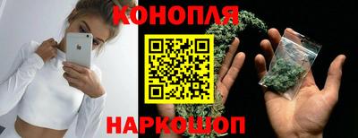 сатива Жуковский