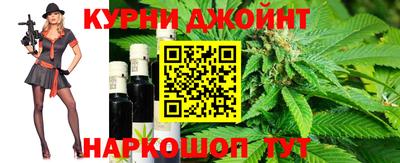 сатива Жуковский