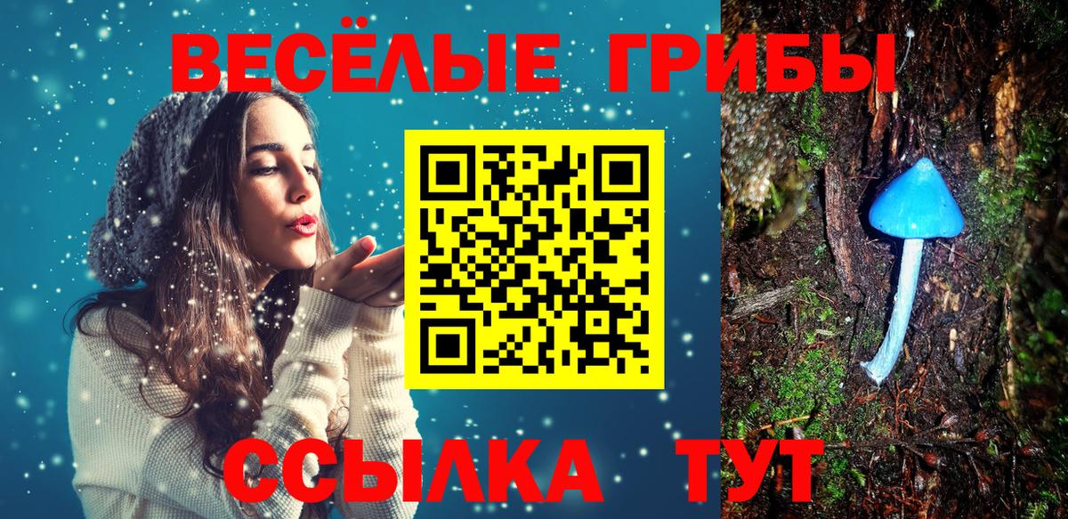 Лесозаводск  Галлюциногенные грибы прущие грибы  Вход с VPN 